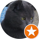 SamAr profile picture